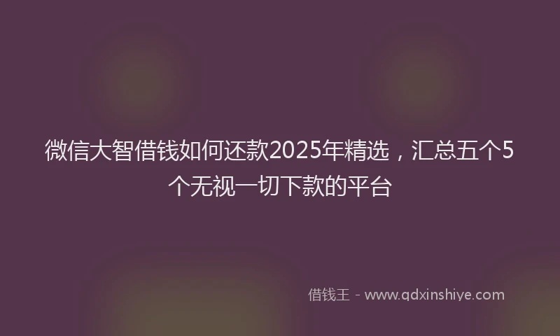 微信大智借钱如何还款2025年精选，汇总五个5个无视一切下款的平台