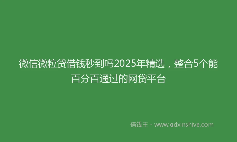 微信微粒贷借钱秒到吗2025年精选，整合5个能百分百通过的网贷平台