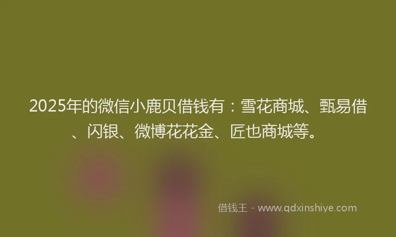 2025年的微信小鹿贝借钱有：雪花商城、甄易借、闪银、微博花花金、匠也商城等。