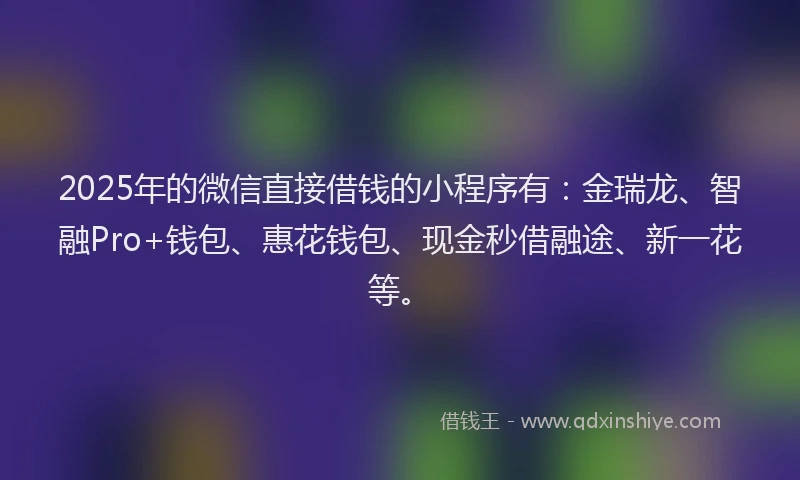 2025年的微信直接借钱的小程序有：金瑞龙、智融Pro+钱包、惠花钱包、现金秒借融途、新一花等。