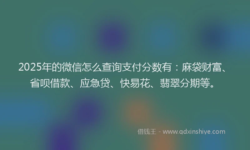2025年的微信怎么查询支付分数有：麻袋财富、省呗借款、应急贷、快易花、翡翠分期等。