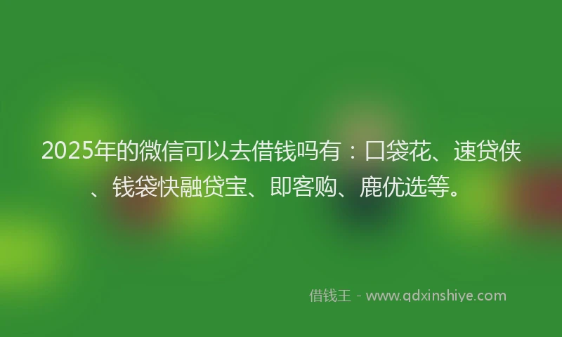 2025年的微信可以去借钱吗有：口袋花、速贷侠、钱袋快融贷宝、即客购、鹿优选等。