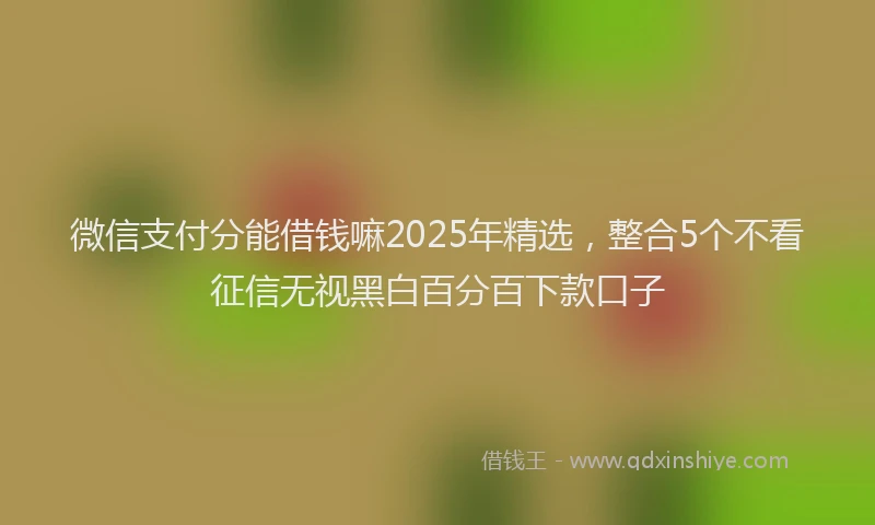 微信支付分能借钱嘛2025年精选，整合5个不看征信无视黑白百分百下款口子
