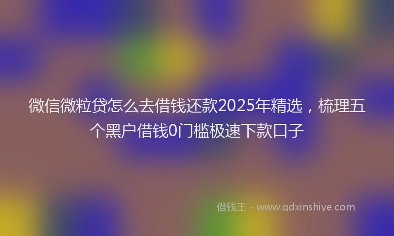 微信微粒贷怎么去借钱还款2025年精选，梳理五个黑户借钱0门槛极速下款口子