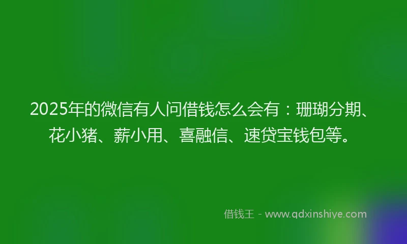 2025年的微信有人问借钱怎么会有：珊瑚分期、花小猪、薪小用、喜融信、速贷宝钱包等。