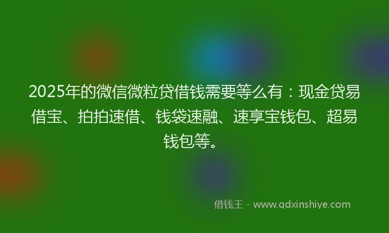 2025年的微信微粒贷借钱需要等么有：现金贷易借宝、拍拍速借、钱袋速融、速享宝钱包、超易钱包等。