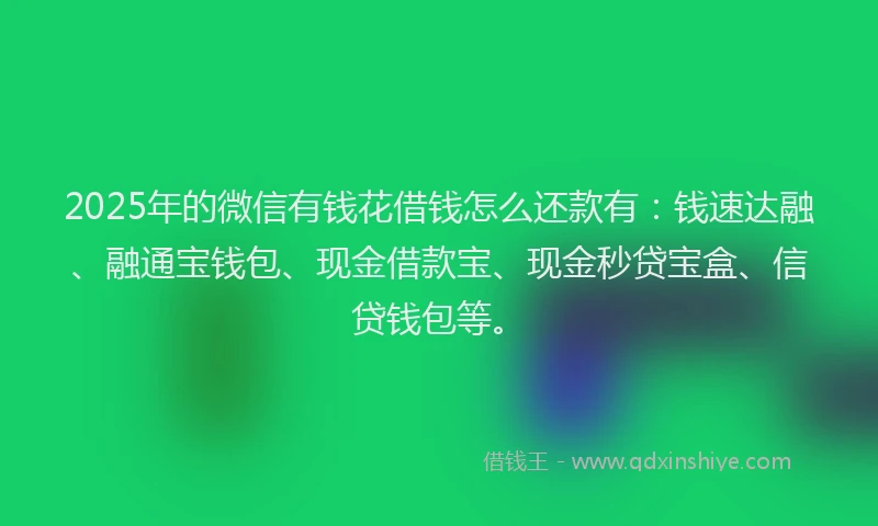 2025年的微信有钱花借钱怎么还款有：钱速达融、融通宝钱包、现金借款宝、现金秒贷宝盒、信贷钱包等。