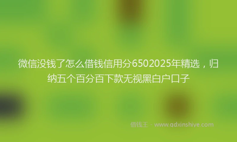 微信没钱了怎么借钱信用分6502025年精选，归纳五个百分百下款无视黑白户口子