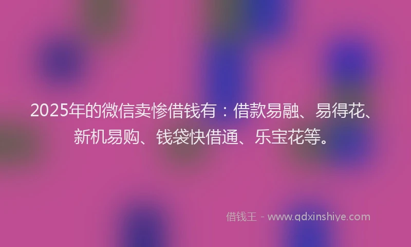 2025年的微信卖惨借钱有：借款易融、易得花、新机易购、钱袋快借通、乐宝花等。