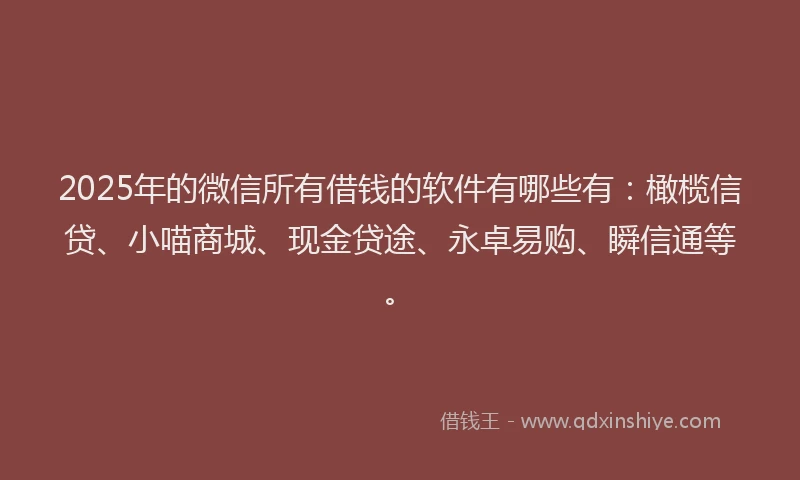 2025年的微信所有借钱的软件有哪些有：橄榄信贷、小喵商城、现金贷途、永卓易购、瞬信通等。