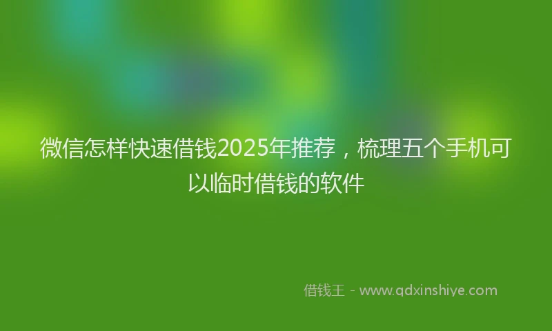 微信怎样快速借钱2025年推荐，梳理五个手机可以临时借钱的软件