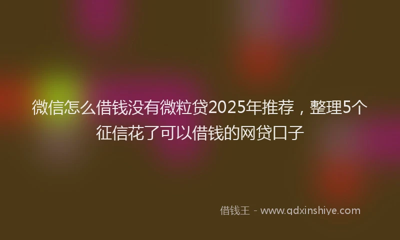 微信怎么借钱没有微粒贷2025年推荐，整理5个征信花了可以借钱的网贷口子