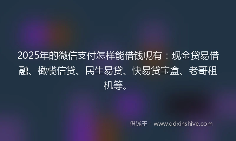 2025年的微信支付怎样能借钱呢有：现金贷易借融、橄榄信贷、民生易贷、快易贷宝盒、老哥租机等。