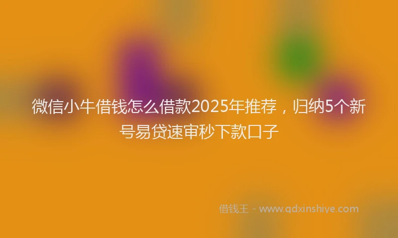 微信小牛借钱怎么借款2025年推荐，归纳5个新号易贷速审秒下款口子