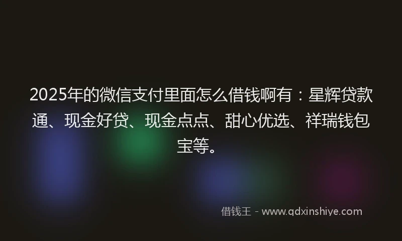 2025年的微信支付里面怎么借钱啊有：星辉贷款通、现金好贷、现金点点、甜心优选、祥瑞钱包宝等。