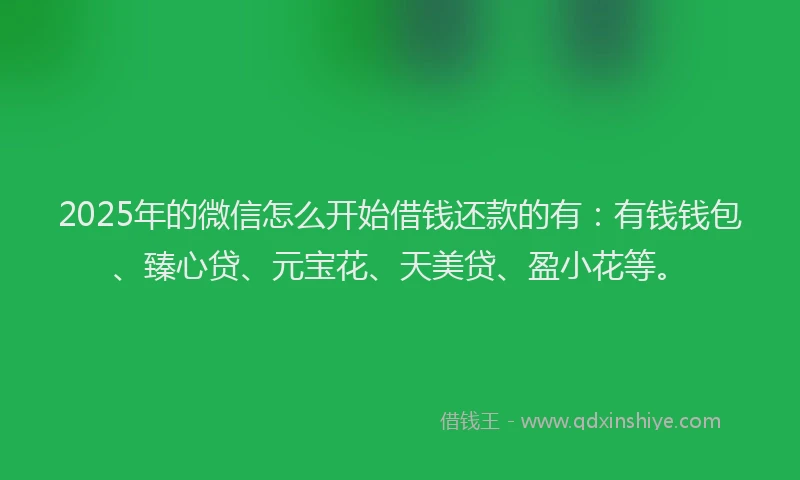 2025年的微信怎么开始借钱还款的有：有钱钱包、臻心贷、元宝花、天美贷、盈小花等。