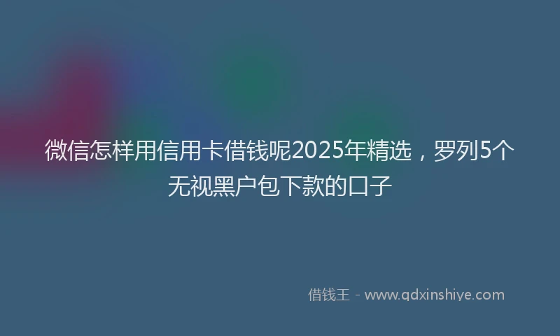微信怎样用信用卡借钱呢2025年精选，罗列5个无视黑户包下款的口子