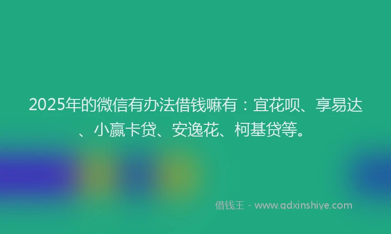 2025年的微信有办法借钱嘛有：宜花呗、享易达、小赢卡贷、安逸花、柯基贷等。