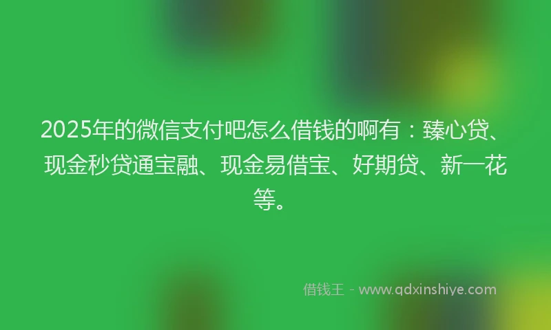 2025年的微信支付吧怎么借钱的啊有：臻心贷、现金秒贷通宝融、现金易借宝、好期贷、新一花等。