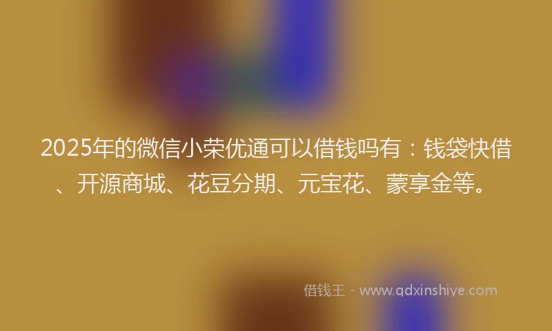 2025年的微信小荣优通可以借钱吗有：钱袋快借、开源商城、花豆分期、元宝花、蒙享金等。