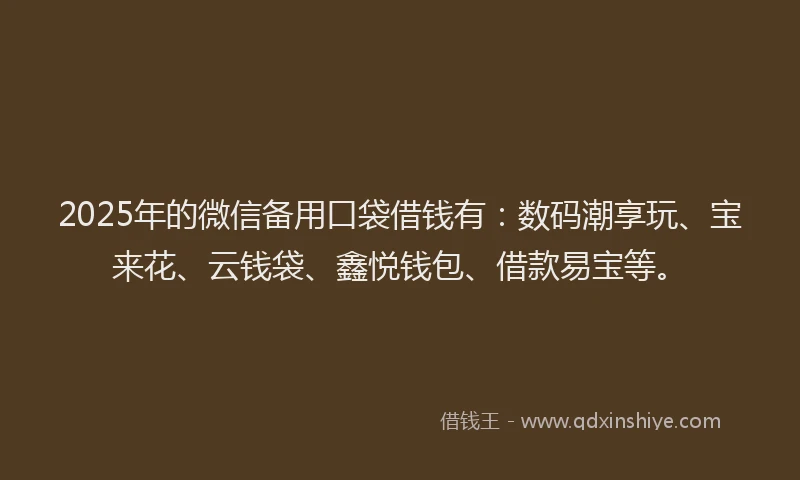 2025年的微信备用口袋借钱有：数码潮享玩、宝来花、云钱袋、鑫悦钱包、借款易宝等。