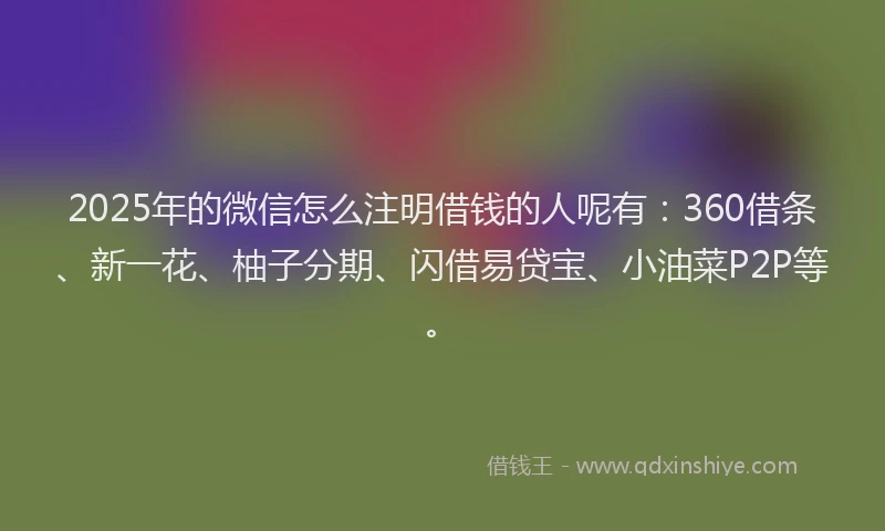 2025年的微信怎么注明借钱的人呢有：360借条、新一花、柚子分期、闪借易贷宝、小油菜P2P等。