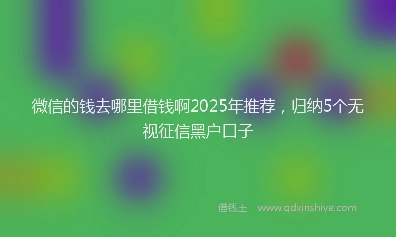 微信的钱去哪里借钱啊2025年推荐，归纳5个无视征信黑户口子