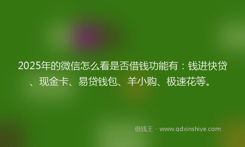 2025年的微信怎么看是否借钱功能有：钱进快贷、现金卡、易贷钱包、羊小购、极速花等。