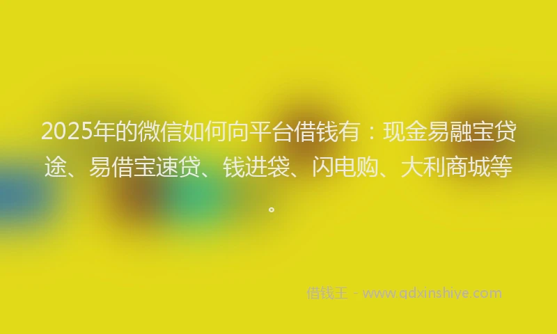 2025年的微信如何向平台借钱有：现金易融宝贷途、易借宝速贷、钱进袋、闪电购、大利商城等。