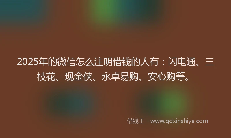 2025年的微信怎么注明借钱的人有：闪电通、三枝花、现金侠、永卓易购、安心购等。