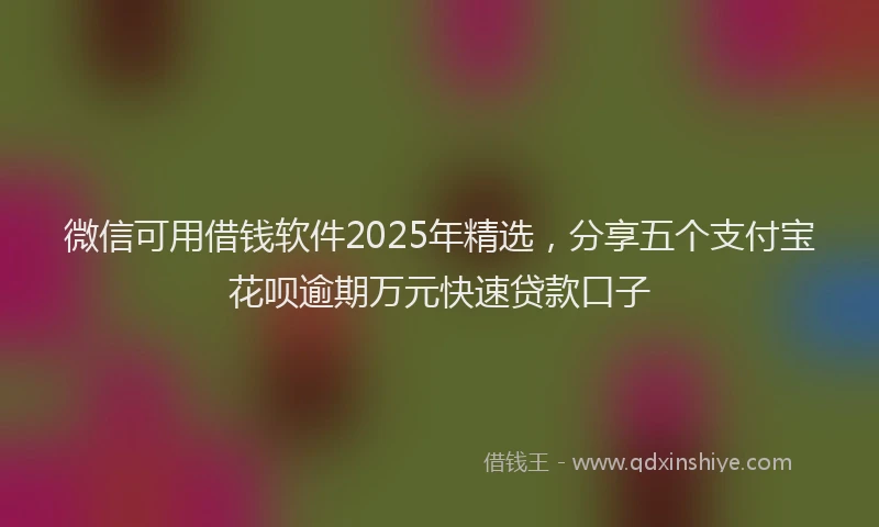 微信可用借钱软件2025年精选，分享五个支付宝花呗逾期万元快速贷款口子