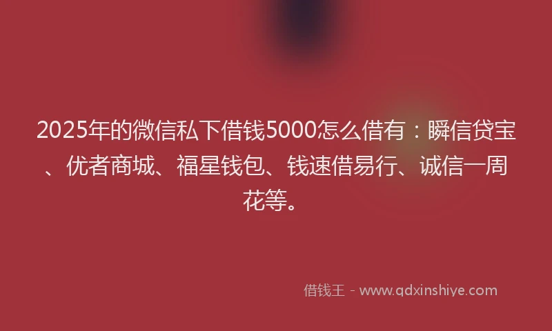 2025年的微信私下借钱5000怎么借有：瞬信贷宝、优者商城、福星钱包、钱速借易行、诚信一周花等。