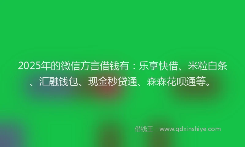 2025年的微信方言借钱有：乐享快借、米粒白条、汇融钱包、现金秒贷通、森森花呗通等。