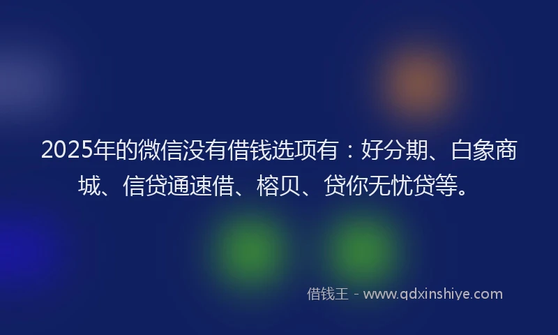 2025年的微信没有借钱选项有：好分期、白象商城、信贷通速借、榕贝、贷你无忧贷等。