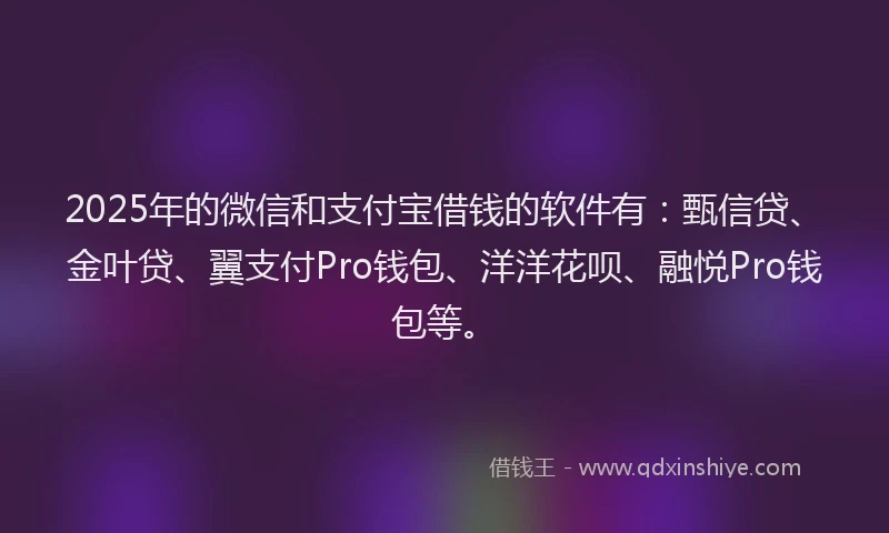 2025年的微信和支付宝借钱的软件有：甄信贷、金叶贷、翼支付Pro钱包、洋洋花呗、融悦Pro钱包等。
