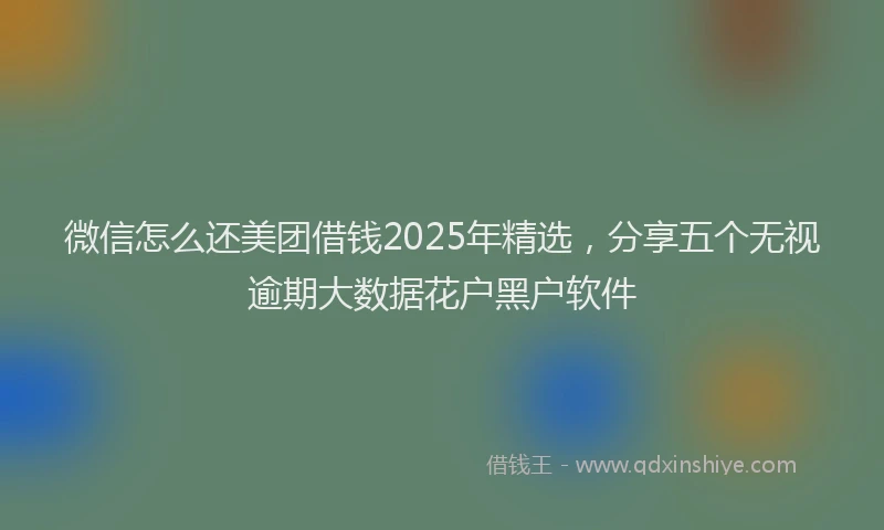 微信怎么还美团借钱2025年精选，分享五个无视逾期大数据花户黑户软件