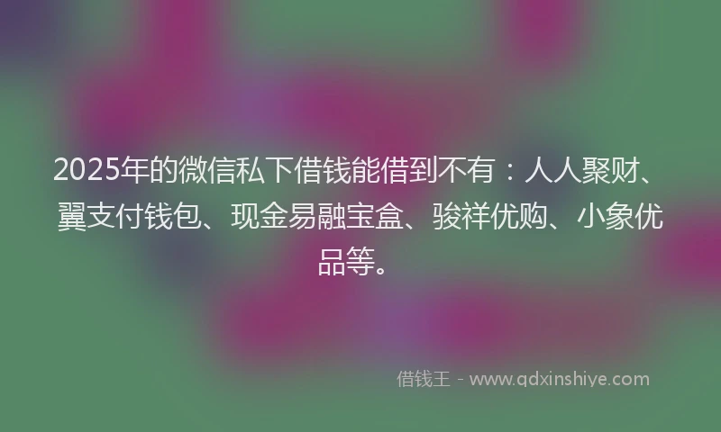 2025年的微信私下借钱能借到不有：人人聚财、翼支付钱包、现金易融宝盒、骏祥优购、小象优品等。