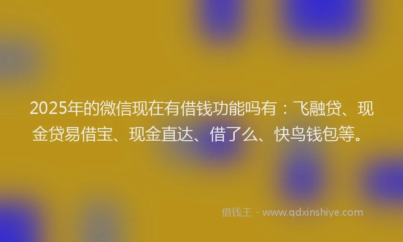 2025年的微信现在有借钱功能吗有：飞融贷、现金贷易借宝、现金直达、借了么、快鸟钱包等。