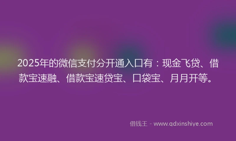 2025年的微信支付分开通入口有：现金飞贷、借款宝速融、借款宝速贷宝、口袋宝、月月开等。