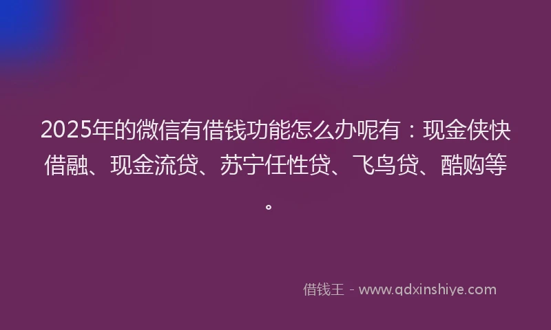 2025年的微信有借钱功能怎么办呢有：现金侠快借融、现金流贷、苏宁任性贷、飞鸟贷、酷购等。