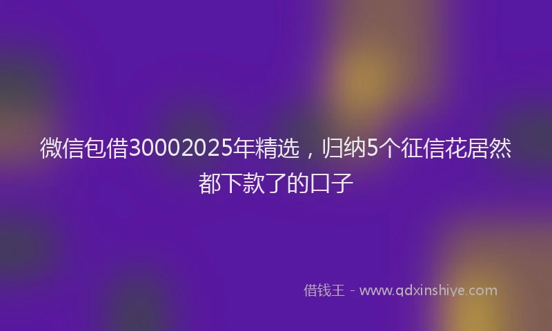 微信包借30002025年精选，归纳5个征信花居然都下款了的口子