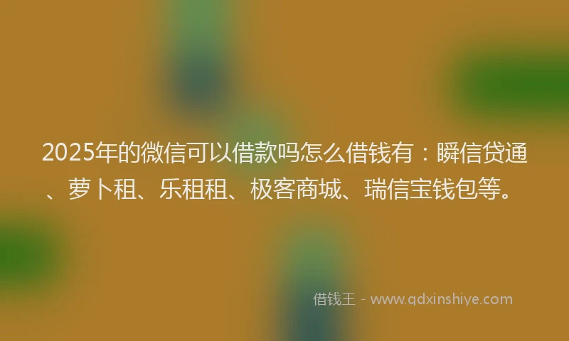 2025年的微信可以借款吗怎么借钱有：瞬信贷通、萝卜租、乐租租、极客商城、瑞信宝钱包等。