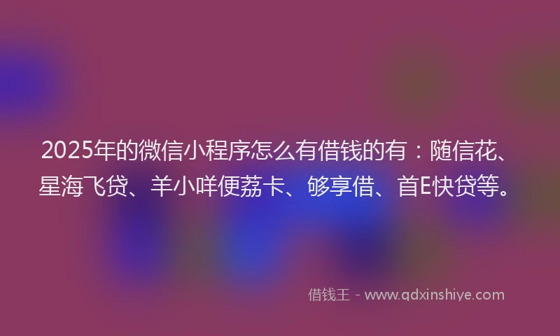 2025年的微信小程序怎么有借钱的有：随信花、星海飞贷、羊小咩便荔卡、够享借、首E快贷等。