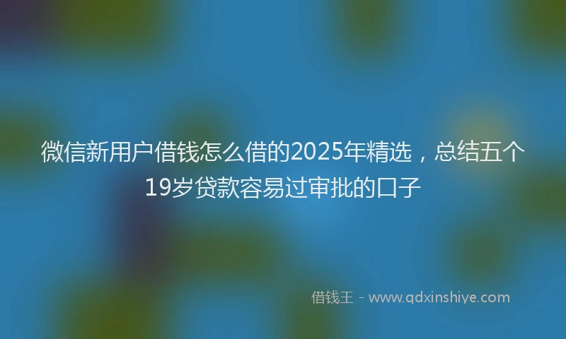 微信新用户借钱怎么借的2025年精选，总结五个19岁贷款容易过审批的口子