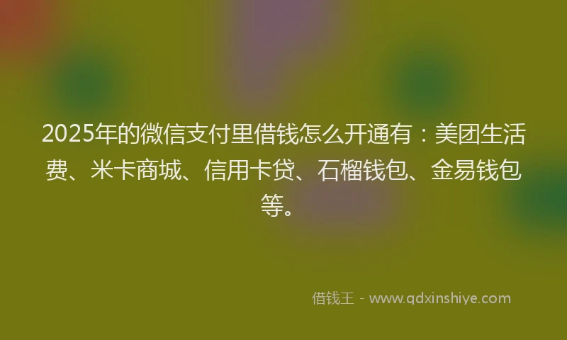 2025年的微信支付里借钱怎么开通有：美团生活费、米卡商城、信用卡贷、石榴钱包、金易钱包等。