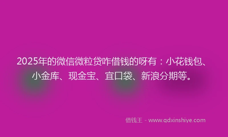 2025年的微信微粒贷咋借钱的呀有：小花钱包、小金库、现金宝、宜口袋、新浪分期等。