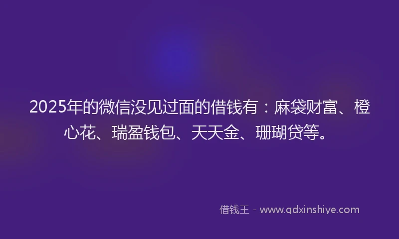 2025年的微信没见过面的借钱有：麻袋财富、橙心花、瑞盈钱包、天天金、珊瑚贷等。