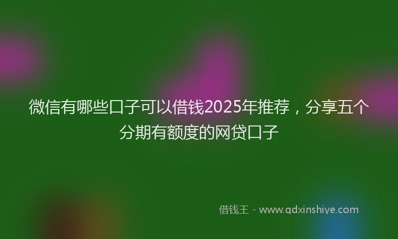 微信有哪些口子可以借钱2025年推荐，分享五个分期有额度的网贷口子