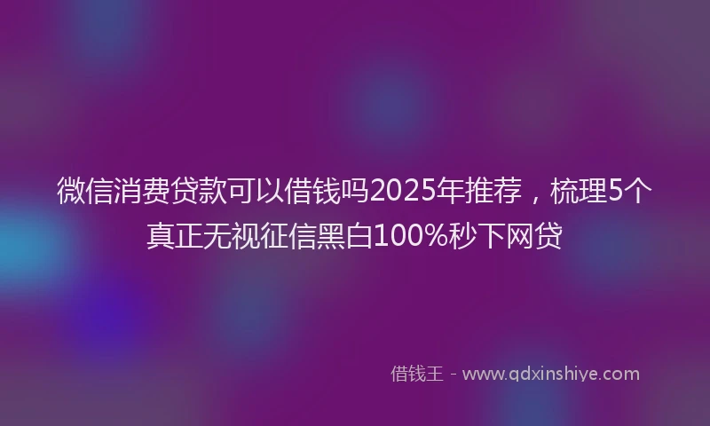 微信消费贷款可以借钱吗2025年推荐，梳理5个真正无视征信黑白100%秒下网贷