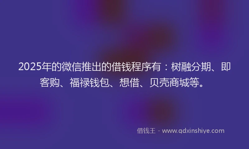 2025年的微信推出的借钱程序有：树融分期、即客购、福禄钱包、想借、贝壳商城等。